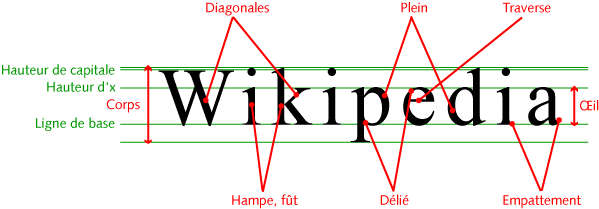 Anatomie de lettres