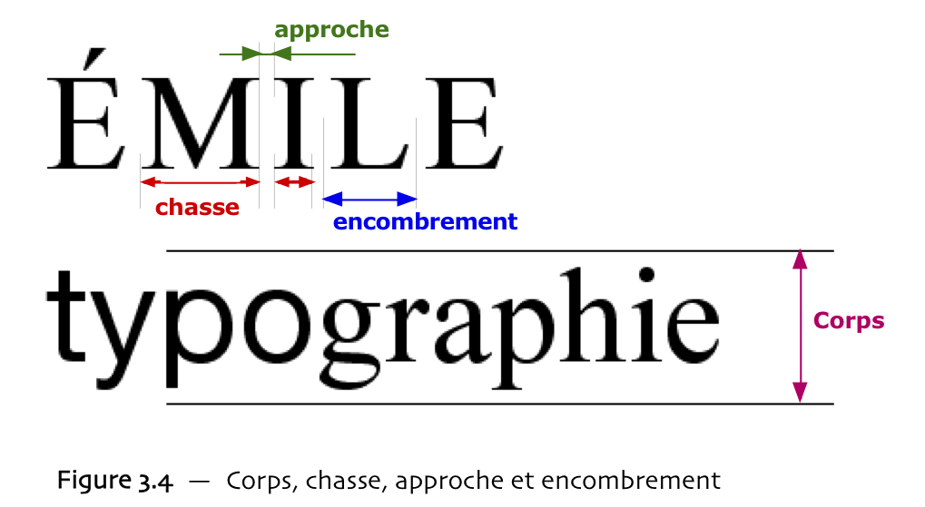 Corps, approche, chasse